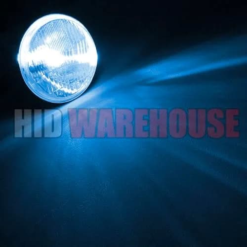 HID-Warehouse Xenon HID Replacement Bulbs 5202 (H16/9009) 10000K Dark Blue Pair | Plug-and-Play HID Headlight Upgrade thumbnail 3