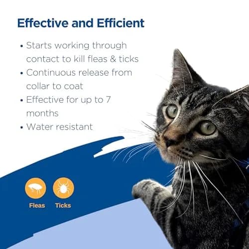 Zodiac Flea & Tick Collar for Cats, 13" | 7-Month Protection, Easy Release thumbnail 3
