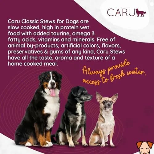 Caru Classics Pork Stew for Dogs 12 oz | Grain-Free, Human-Grade Ingredients, Supports Overall Dog Health thumbnail 4