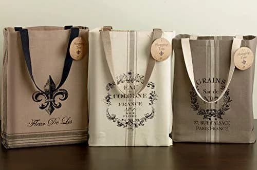 DII Printed Shopping Canvas Bags, Set of 3, French Print | Durable & Reusable Cotton Tote (15x15.25x4") thumbnail 7