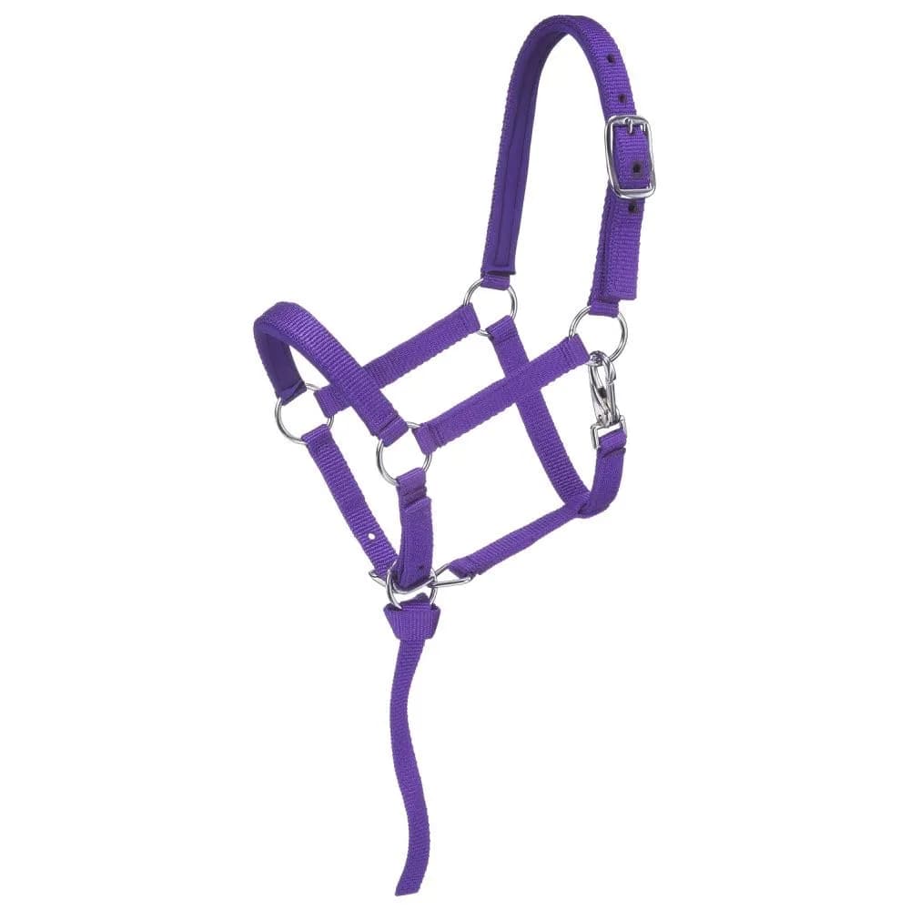 Tough 1 Miniature Nylon Padded Halter - Purple - Large | Durable Nylon, Comfort Fit for Mini Horses - main product image