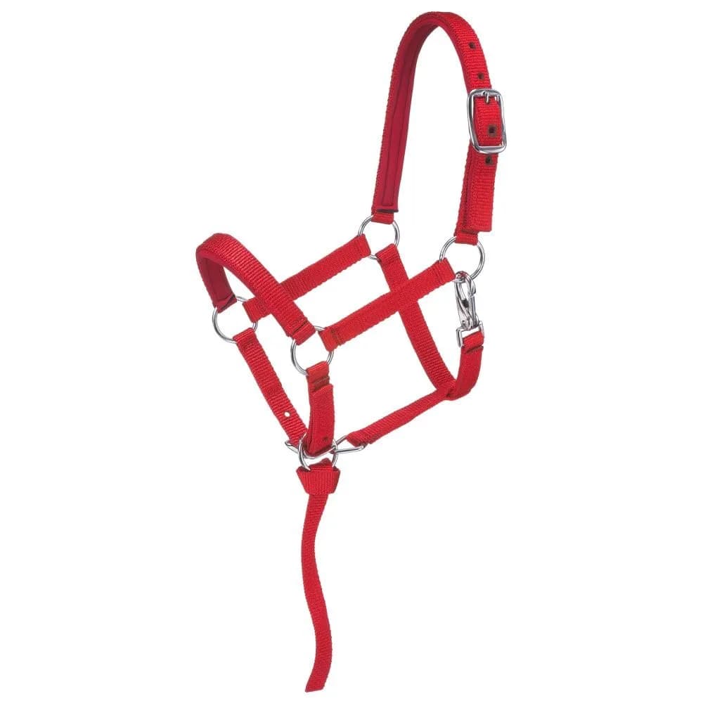 Tough 1 Miniature Nylon Padded Halter - Red - Small | Durable nylon with padding, adjustable fit, easy on/off, imported from USA