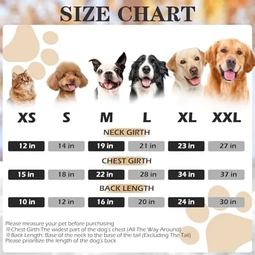 EXPAWLORER Dog Hoodie - Bad to The Bone Halloween Sweater, M | Casual Fall & Winter Dog Apparel thumbnail 4