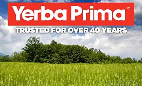 Yerba Prima Psyllium Husks Veg Caps - 540 Veg Capsules | Vegan, Non-GMO, Gluten Free for Gut Health & Regularity thumbnail 6