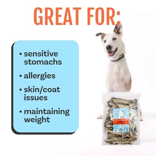 Polkadog Crunchy Haddock Skins Dog Treats | Single Ingredient, 2oz | Omega-3 Rich, Natural Fish Snack thumbnail 5