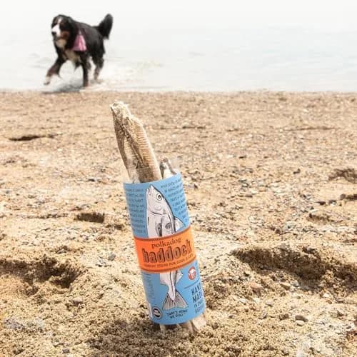 Polkadog Crunchy Haddock Skins Dog Treats | Single Ingredient, 2oz | Omega-3 Rich, Natural Fish Snack thumbnail 8