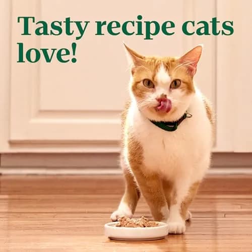 Nutro Perfect Portions Pate Wet Cat Food, Chicken & Liver, 2.6 oz, 24 ct | Grain-Free, Hydrating, Complete Nutrition thumbnail 8