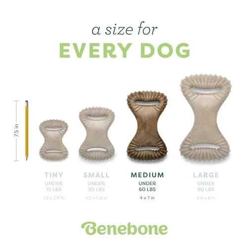 Benebone Dental Durable Dog Chew Toy for Aggressive Chewers, Real Bacon, Made in USA, Medium thumbnail 4