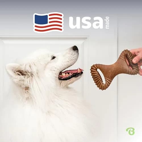 Benebone Dental Durable Dog Chew Toy for Aggressive Chewers, Real Bacon, Made in USA, Medium thumbnail 5