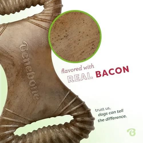 Benebone Dental Durable Dog Chew Toy for Aggressive Chewers, Real Bacon, Made in USA, Medium thumbnail 2
