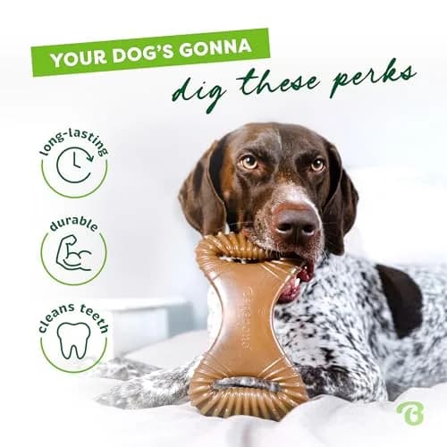 Benebone Dental Durable Dog Chew Toy for Aggressive Chewers, Real Bacon, Made in USA, Medium thumbnail 3