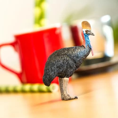 Safari Ltd. Cassowary Toy - 3.5 Inch Realistic Bird Figure for Kids | Wildlife Play & Classroom Use thumbnail 5