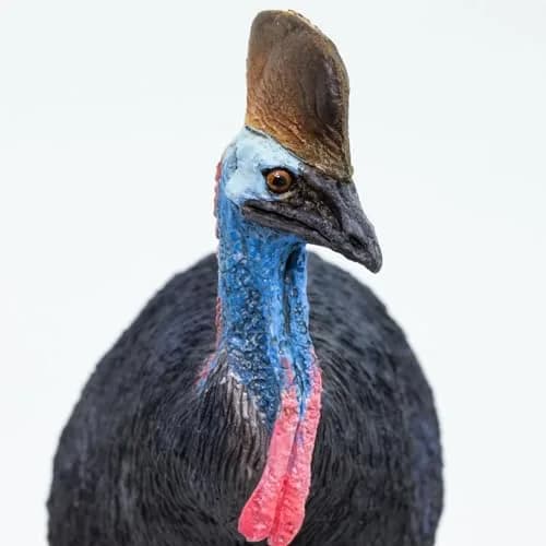 Safari Ltd. Cassowary Toy - 3.5 Inch Realistic Bird Figure for Kids | Wildlife Play & Classroom Use thumbnail 4