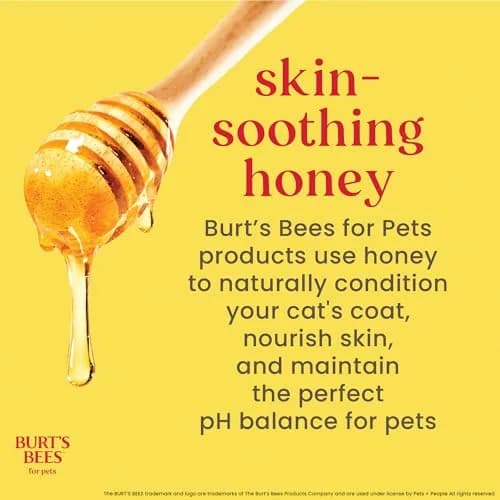 Burt's Bees for Pets Waterless Cat Shampoo Spray 296ml (10 Fl Oz) | Gentle No-Rinse Formula for Cats thumbnail 5