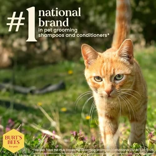 Burt's Bees for Pets Waterless Cat Shampoo Spray 296ml (10 Fl Oz) | Gentle No-Rinse Formula for Cats thumbnail 6