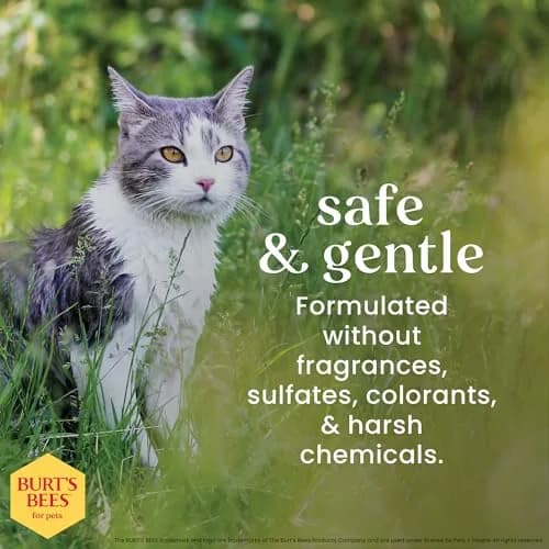 Burt's Bees for Pets Waterless Cat Shampoo Spray 296ml (10 Fl Oz) | Gentle No-Rinse Formula for Cats thumbnail 4