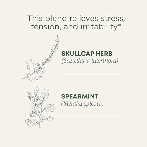 Traditional Medicinals Organic Stress Ease Tension Relief Lemon Verbena Mint Tea 16 Tea Bags | Supports Stress Relief thumbnail 3