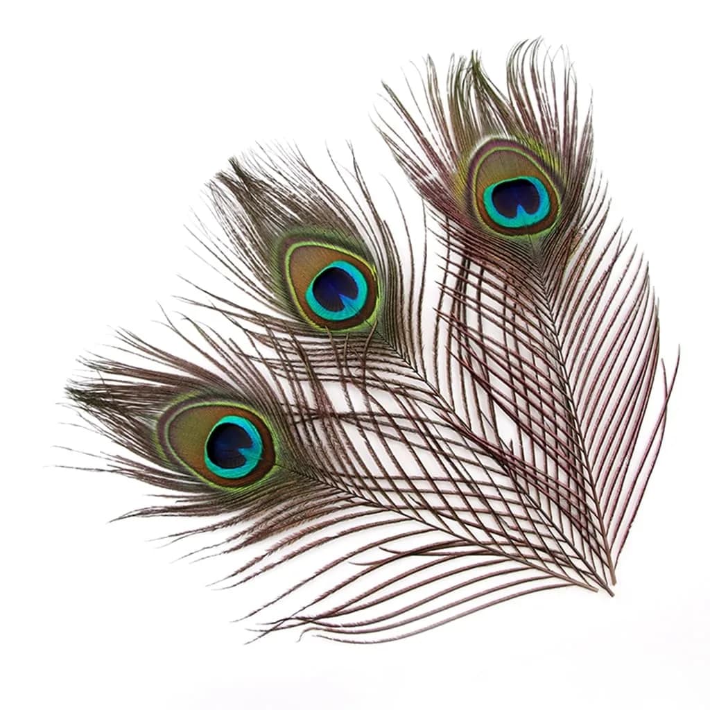 Shekyeon Natural Peacock Feathers 10-12inch | Wedding & Party Decor - main product image