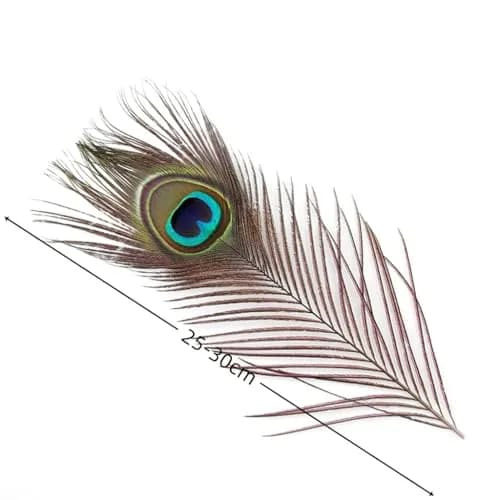 Shekyeon Natural Peacock Feathers 10-12inch | Wedding & Party Decor thumbnail 2