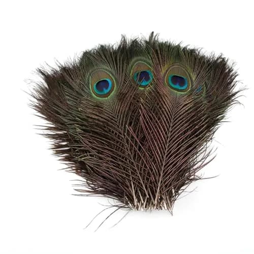 Shekyeon Natural Peacock Feathers 10-12inch | Wedding & Party Decor thumbnail 3