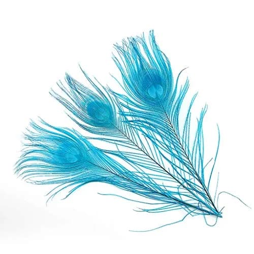Shekyeon 10-12inch Dyeing Peacock Feathers Turquoise | Wedding & Craft Use thumbnail 1