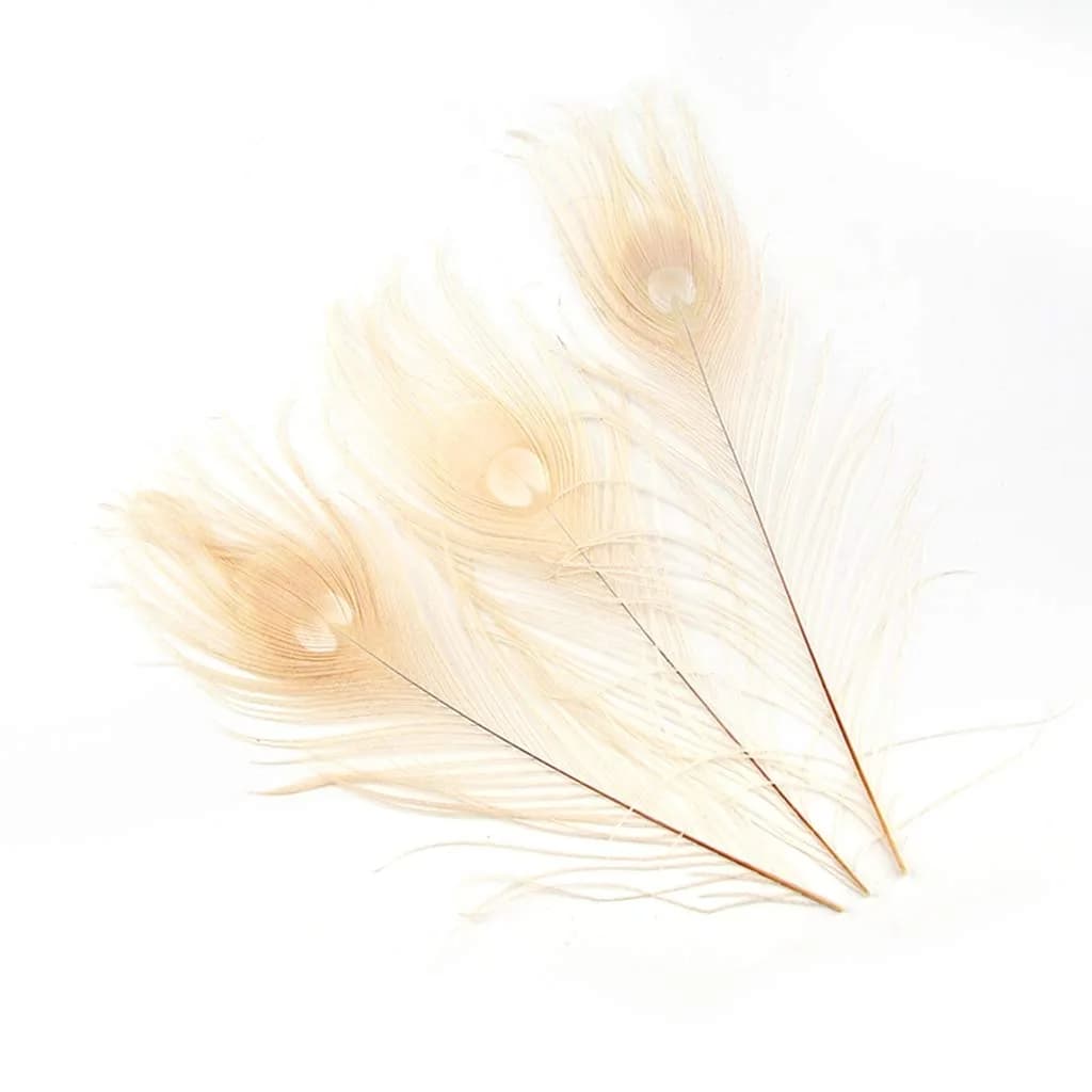 Shekyeon Natural Dyeing Peacock Feathers 25-30cm (10-12 Inch) Pack of 10 | Off-White Wedding & Craft Decor