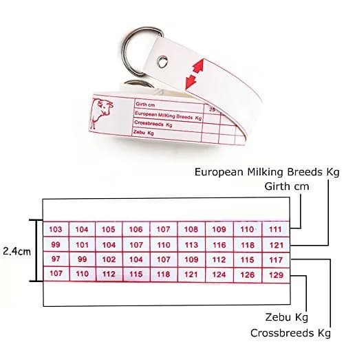 WIN TAPE Professional Cattle Weight (KG) & Height (CM) Tape Measure | Accurate Livestock Measurement thumbnail 3