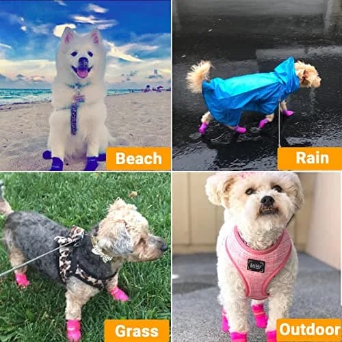 Cdycam Cute Little Pet Dog Puppy Rain Snow Boots Shoes Booties Candy Colors Rubber Waterproof Anti-Slip (Rose Red, X-Large) thumbnail 5