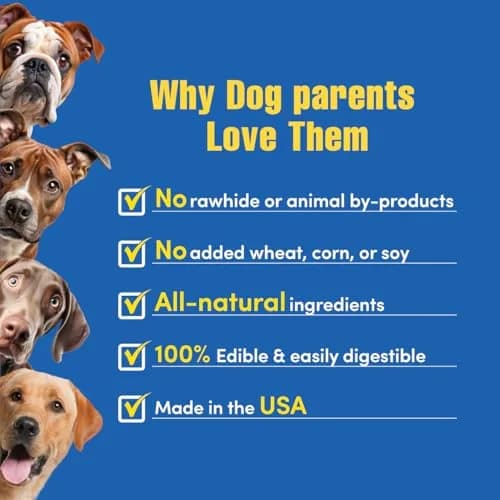 N-Bone Quado Edible Dog Chew Peanut Flavor | Organic Interactive Bone for Oral Health thumbnail 2