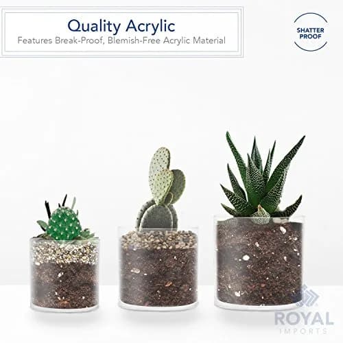 Royal Imports Acrylic Cylinder Flower Vase 5"x5" | Non-Breakable, Clear, Modern thumbnail 4
