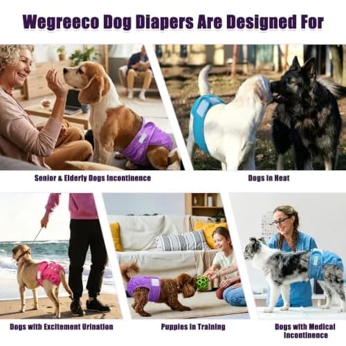 wegreeco Washable Female Dog Diapers, Medium | Reusable & Leak-Free for Heat & Incontinence thumbnail 7