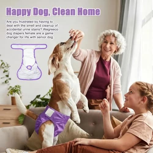 wegreeco Washable Female Dog Diapers, Medium | Reusable & Leak-Free for Heat & Incontinence thumbnail 2