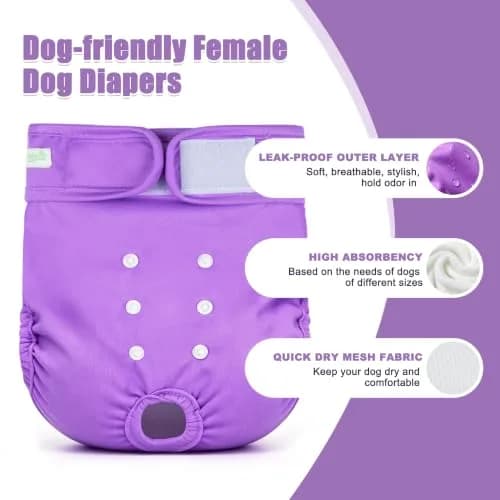 wegreeco Washable Female Dog Diapers, Medium | Reusable & Leak-Free for Heat & Incontinence thumbnail 3
