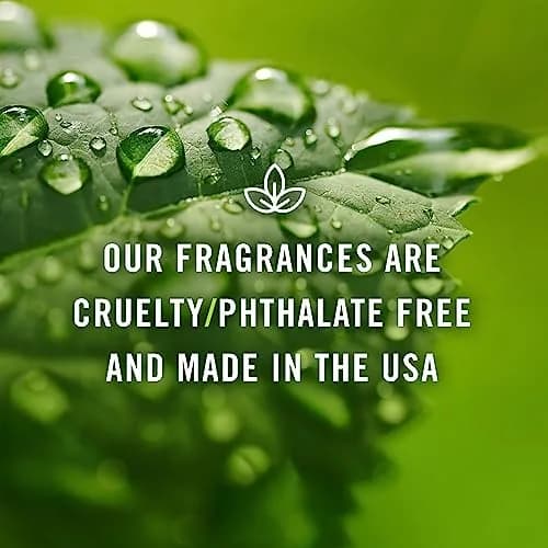 P&J Trading Apple Cider Fragrance Oil 30ml (1.01 Fl Oz) | IFRA Certified Master Perfumer Formula thumbnail 6