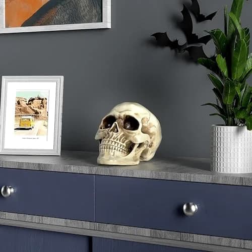 READAEER Halloween Skull Head, Life Size Resin Skull, Large Size Adult Skull Model for Home Decoration, Halloween Skull Statue (White) thumbnail 8