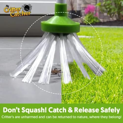 My Critter Catcher Spider and Insect Catcher | Safe, Reusable, Easy to Use for All Ages thumbnail 5