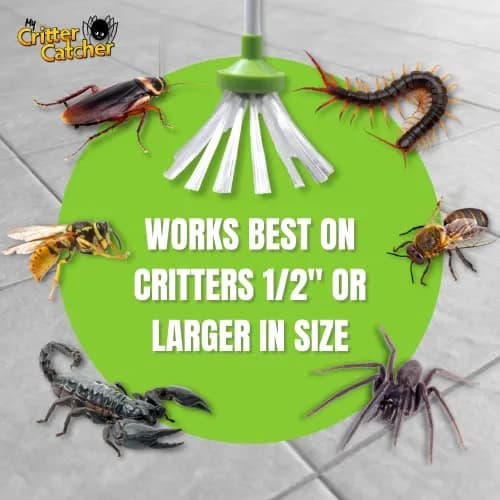My Critter Catcher Spider and Insect Catcher | Safe, Reusable, Easy to Use for All Ages thumbnail 9