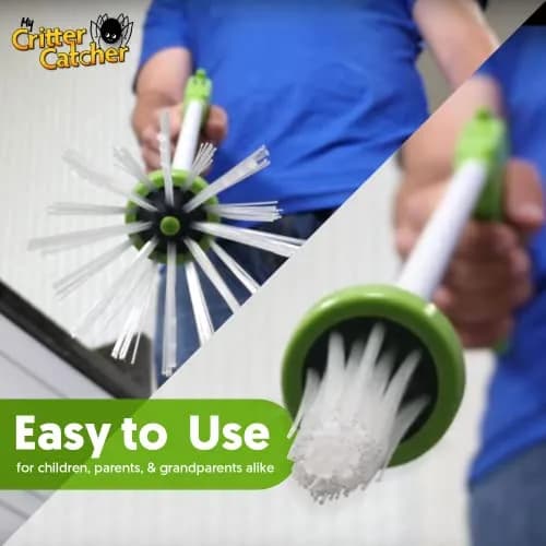 My Critter Catcher Spider and Insect Catcher | Safe, Reusable, Easy to Use for All Ages thumbnail 3