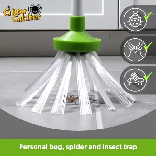 My Critter Catcher Spider and Insect Catcher | Safe, Reusable, Easy to Use for All Ages thumbnail 4