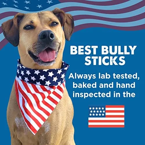 Best Bully Sticks 12 Inch Bully Sticks for Dogs - 10 Count Natural, Grass-Fed Beef | Protein & Dental Support thumbnail 8