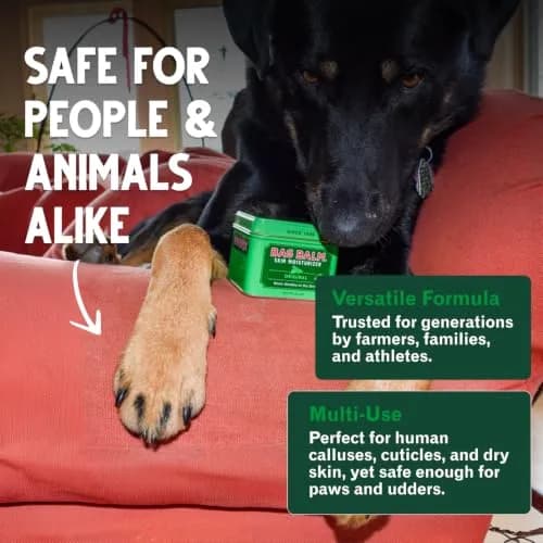 Bag Balm Vermont's Original Skin Moisturizer 4oz | Full-Body Hydrating Skin Care for Dry Hands & Lips thumbnail 6
