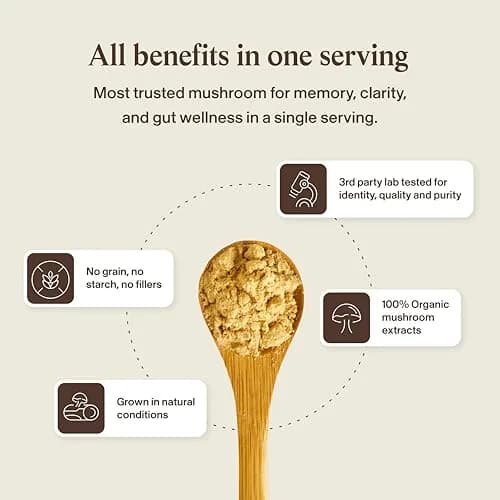 Real Mushrooms Lion's Mane Extract Powder 60 Servings | Organic Adaptogen for Focus & Clarity thumbnail 8