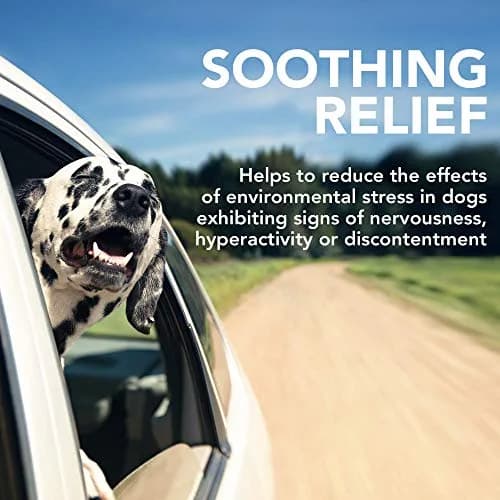 Vet's Best Comfort Calm Soft Chews for Dogs | Relaxation & Stress Support, 30 Day Supply thumbnail 3
