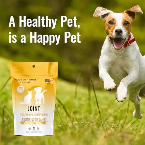 Mushroom Matrix Organic 3.5 oz | Pet Joint & Hip Support Supplement | USA Grown Human-Grade Mushroom Powder for Dogs & Cats thumbnail 2