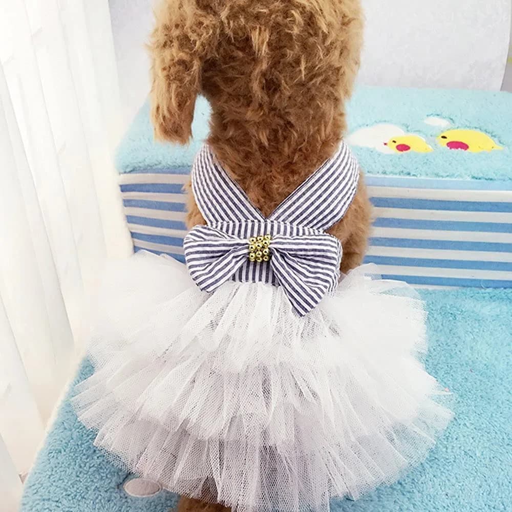 TAPBULL Striped Mesh Princess Dog Dress for Small Dogs & Cats, Pink, Medium (38.6cm Chest, 29.2cm Back) — Blue / Medium