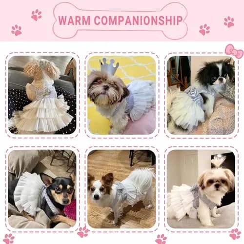 TAPBULL Striped Mesh Princess Dog Dress Blue Large | Fashion Pet Clothes for Small Dogs thumbnail 4