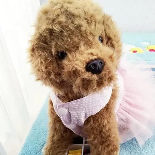 TAPBULL Striped Mesh Princess Dog Dress for Small Dogs & Cats, Pink, Medium (38.6cm Chest, 29.2cm Back) thumbnail 9