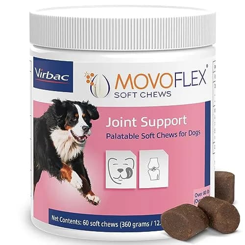 MOVOFLEX Soft Chew Hip & Joint Support for Large Dogs - 60ct | Palatable, No Loading Dose, 5-Ingredient Blend thumbnail 1