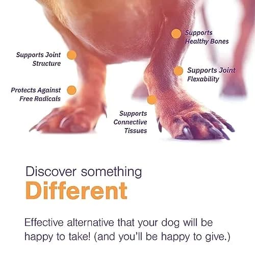MOVOFLEX Soft Chew Hip & Joint Support for Large Dogs - 60ct | Palatable, No Loading Dose, 5-Ingredient Blend thumbnail 5