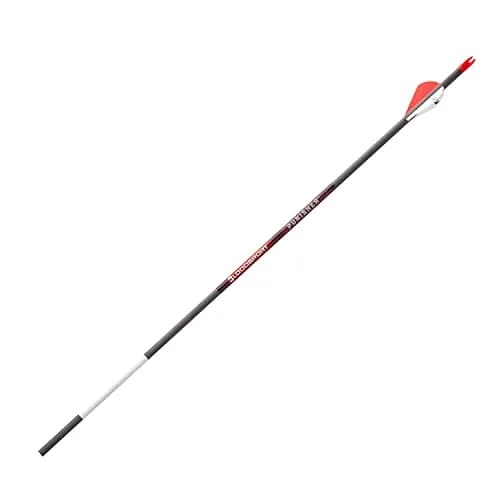Bloodsport Punisher Arrow 31" | Durable Carbon Fletched Hunting Arrow for Compound Bow, 350 Spine, Black thumbnail 3